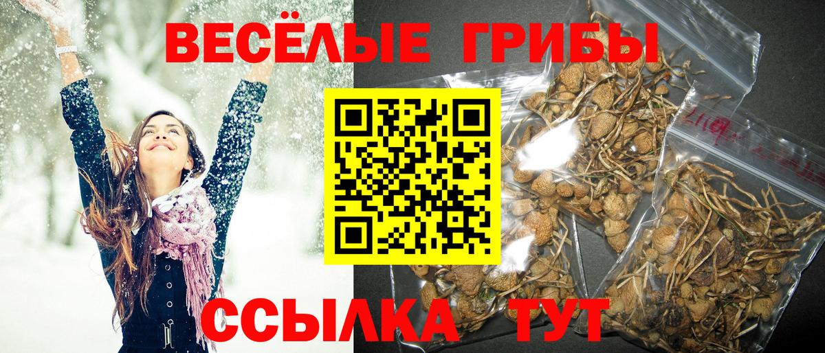 Полысаево  Псилоцибиновые грибы MAGIC MUSHROOMS  Галлюциногенные грибы Psilocybe  Вход с VPN 