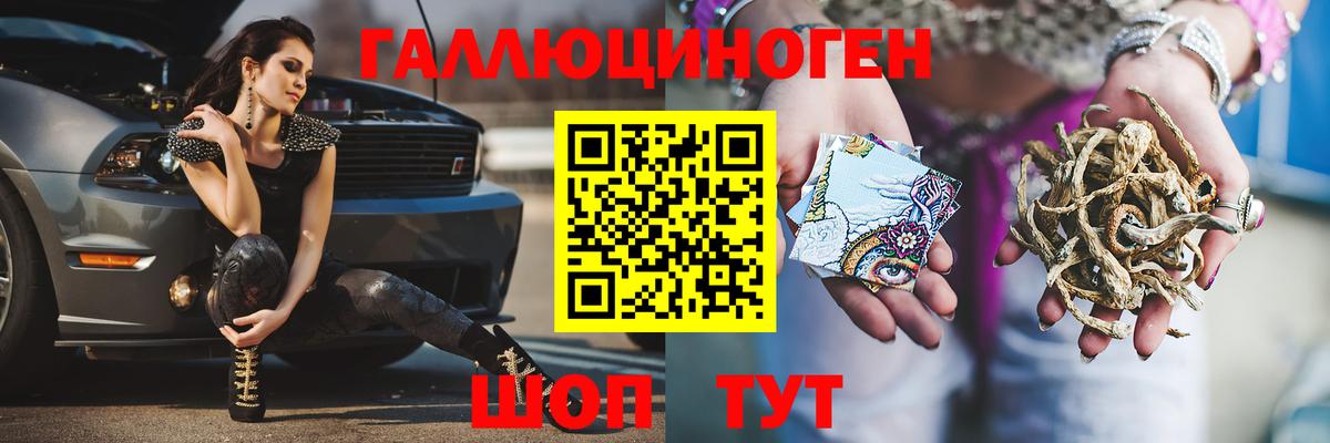 Галлюциногенные грибы Psilocybine cubensis Полысаево